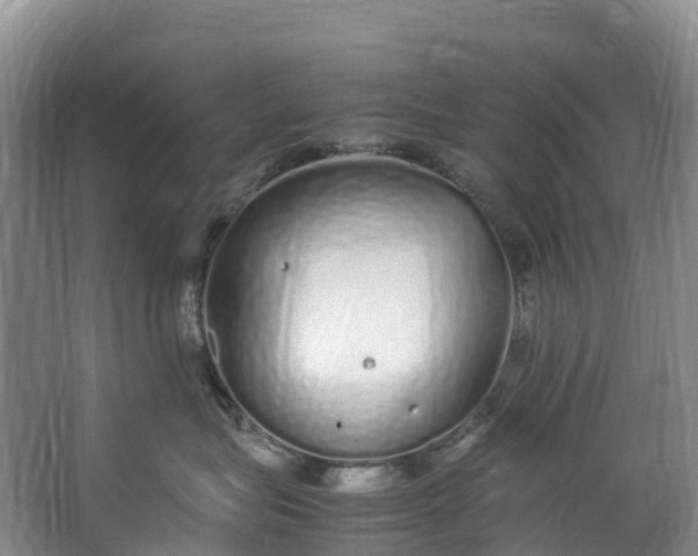 X0000062800575200601051115