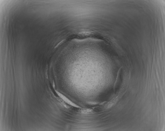 X0000062800576200601051115