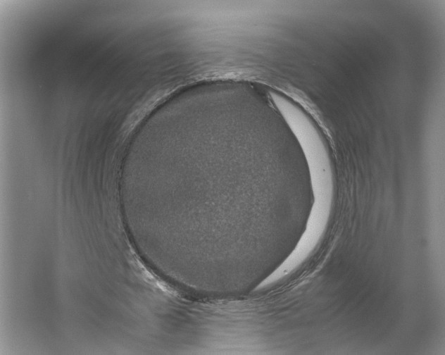 X0000062800577200601051114