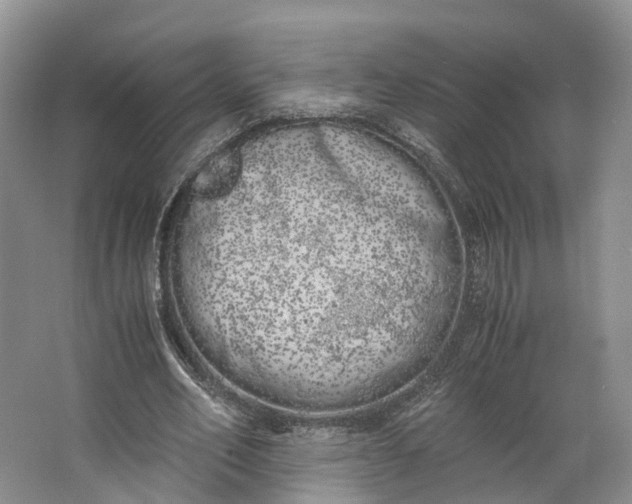 X0000062800582200601051114