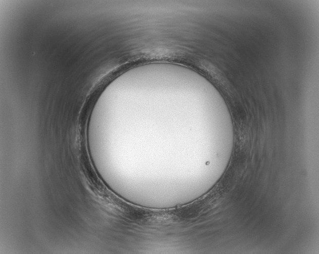 X0000062800583200601051114