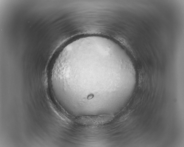 X0000062800584200601051114