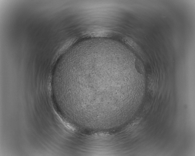 X0000062800586200601051114