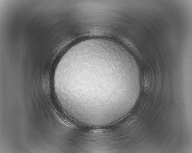 X0000062800588200601051114