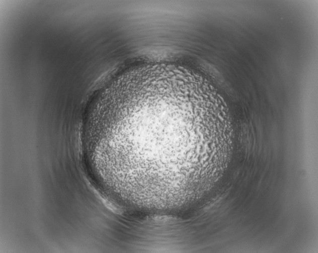 X0000062800590200601051114