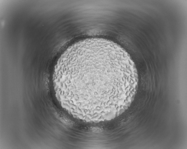 X0000062800592200601051114