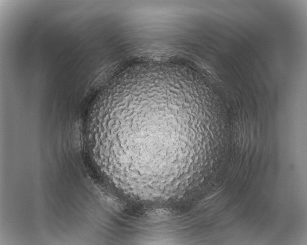 X0000062800594200601051114