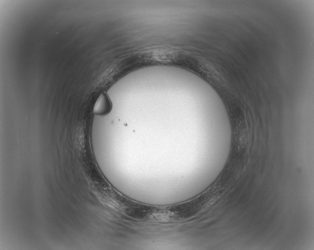 X0000062800595200601051114