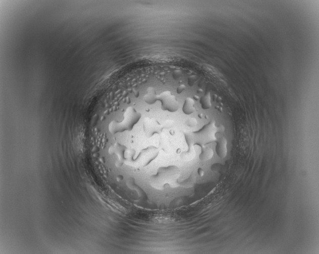 X0000062800596200601051114