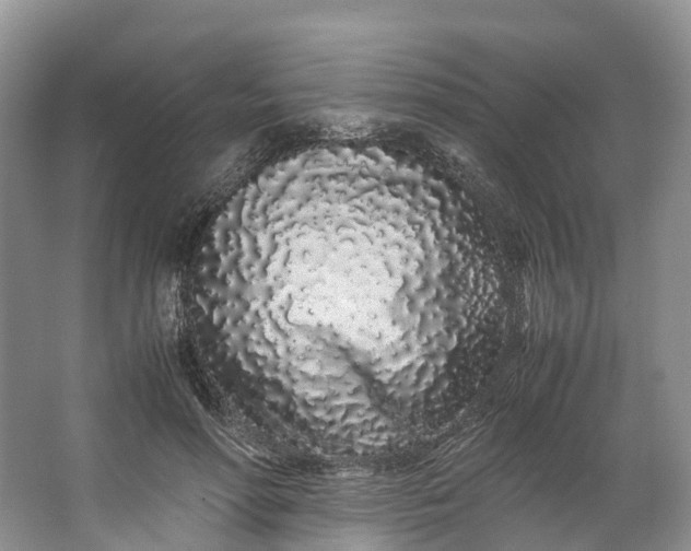 X0000062800598200601051114