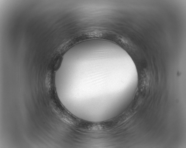 X0000062800600200601051113