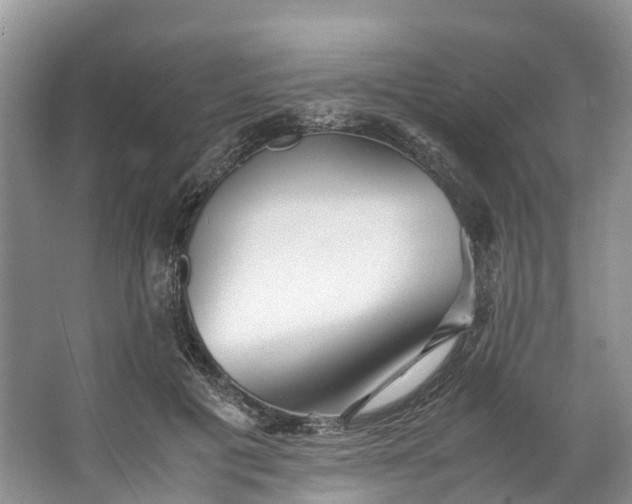 X0000062800601200601051113