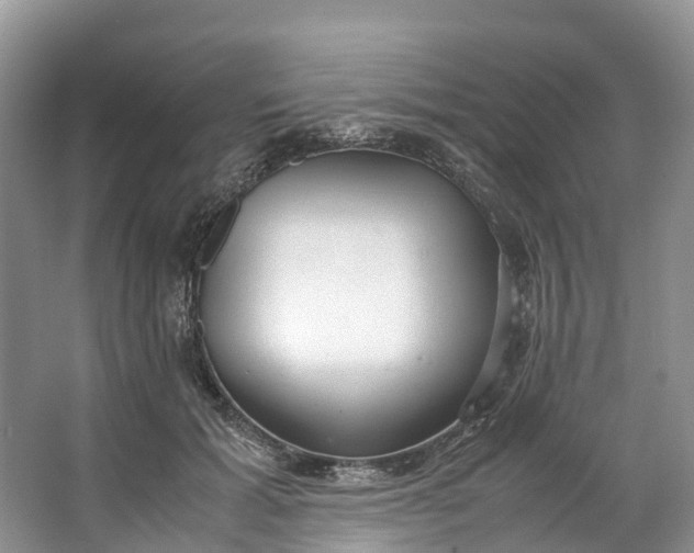 X0000062800605200601051113