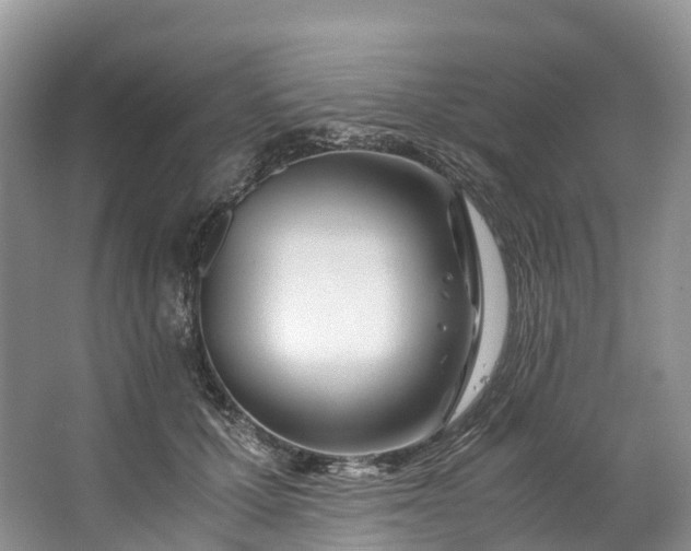 X0000062800607200601051113