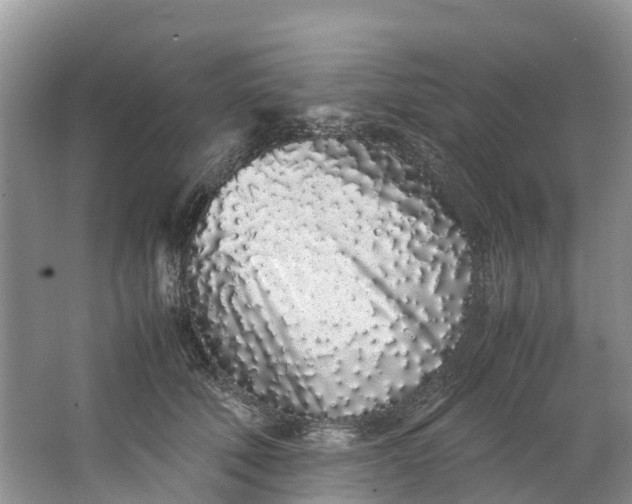 X0000062800610200601051113