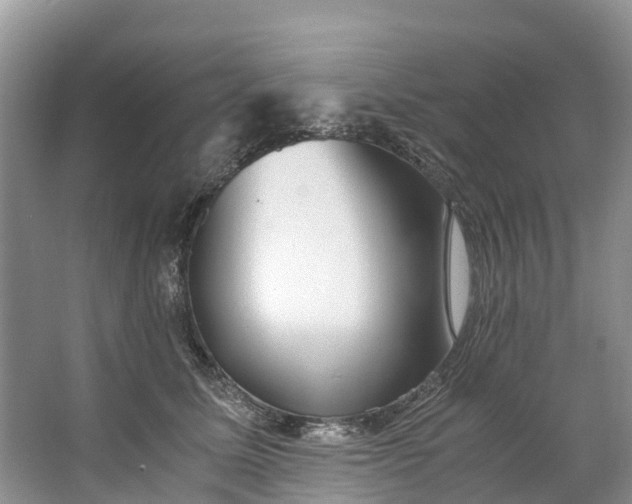 X0000062800611200601051113