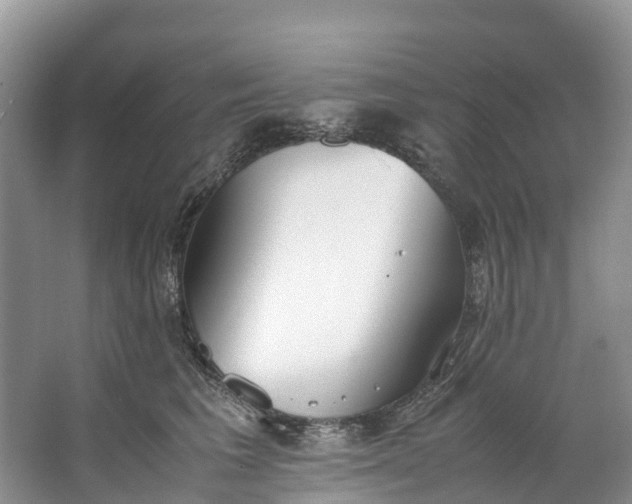 X0000062800613200601051113