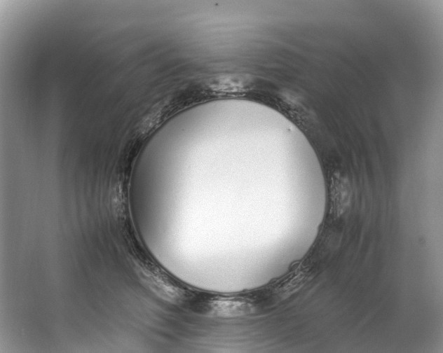 X0000062800614200601051113