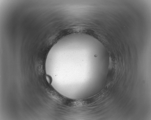 X0000062800615200601051113