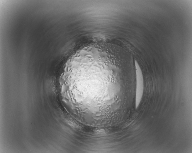 X0000062800616200601051113