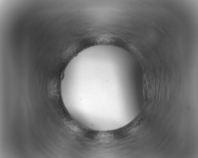 X0000062800619200601051113