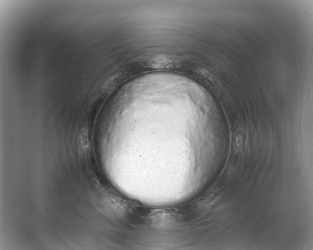 X0000062800620200601051113