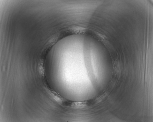 X0000062800622200601051113