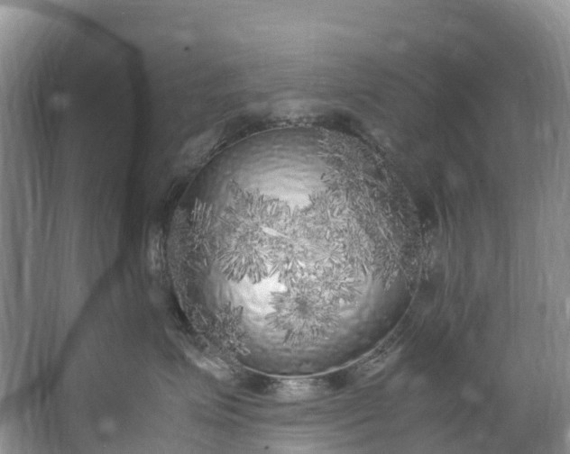 X0000062800623200601051113