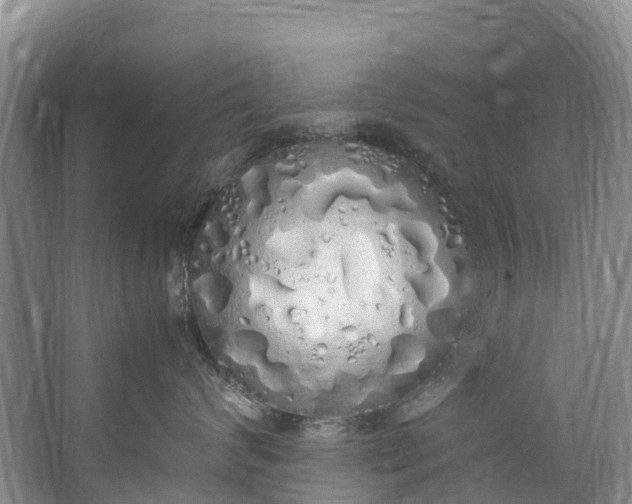 X0000062800624200601051113