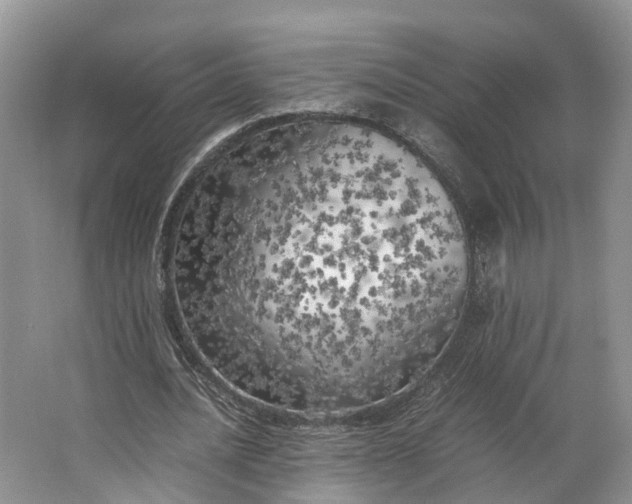 X0000062800628200601051112