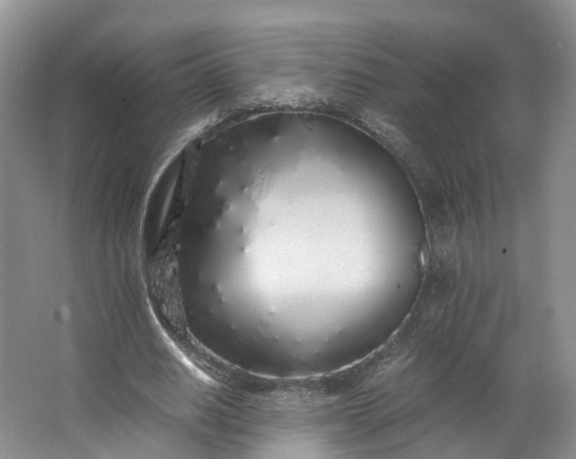 X0000062800630200601051112