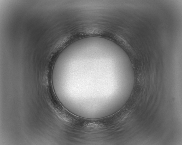 X0000062800635200601051112