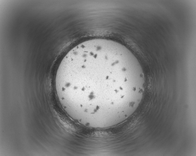 X0000062800636200601051112