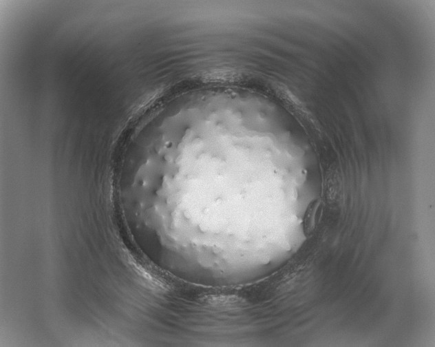 X0000062800637200601051112