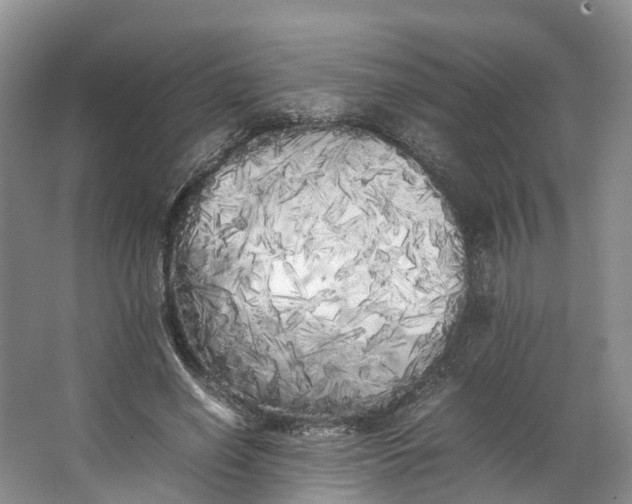 X0000062800638200601051112