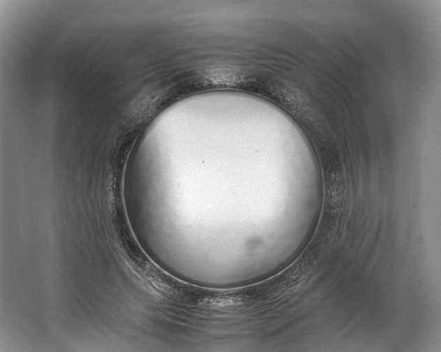 X0000062800639200601051113