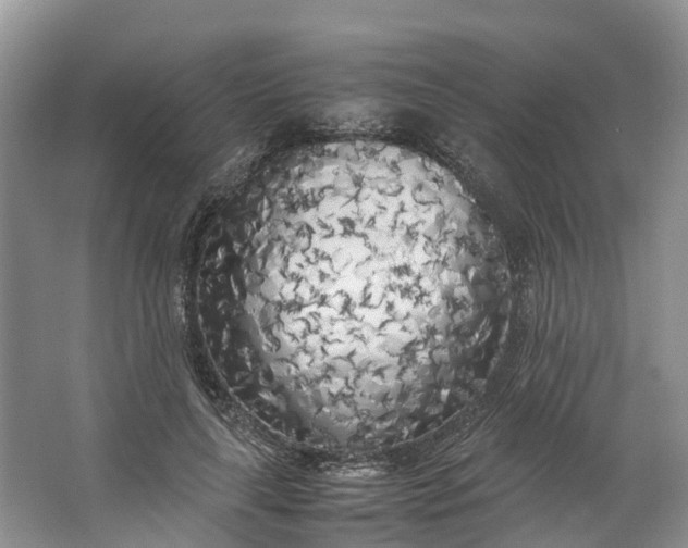 X0000062800643200601051113