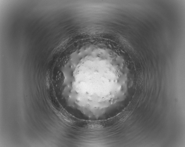 X0000062800644200601051113