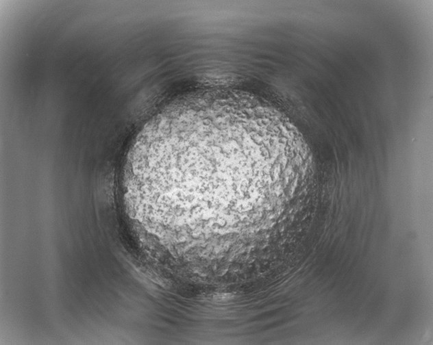 X0000062800647200601051113