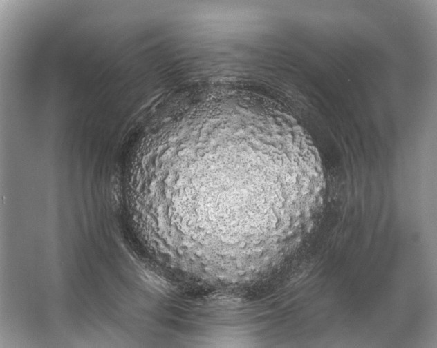 X0000062800648200601051113