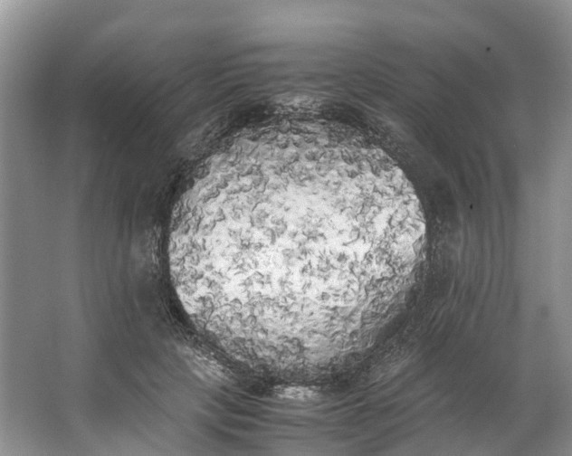 X0000062800649200601051113