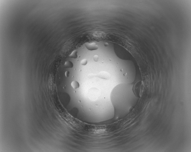 X0000062800651200601051113