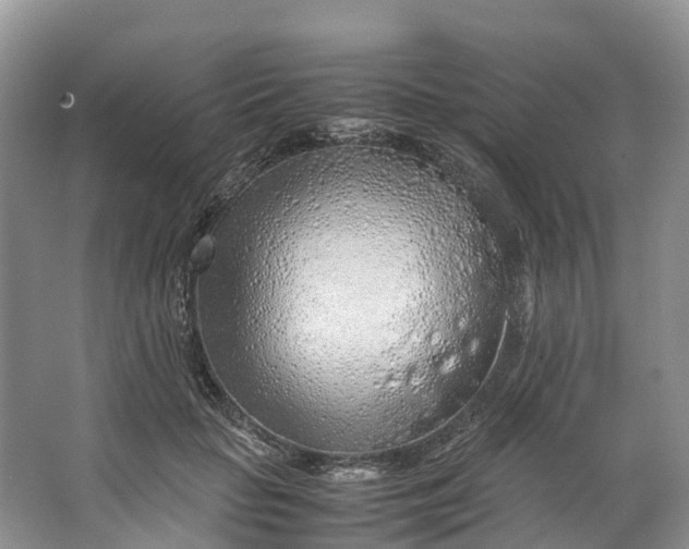 X0000062800653200601051113