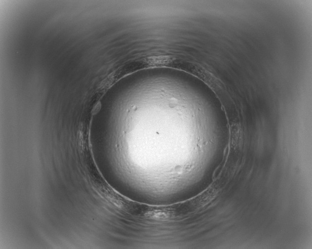 X0000062800655200601051113