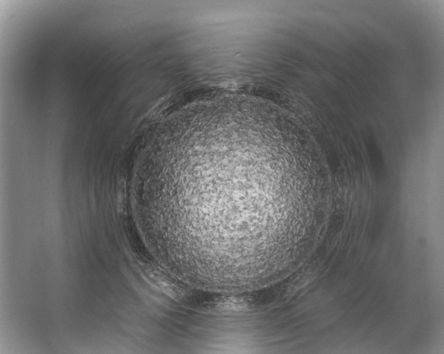 X0000062800656200601051113