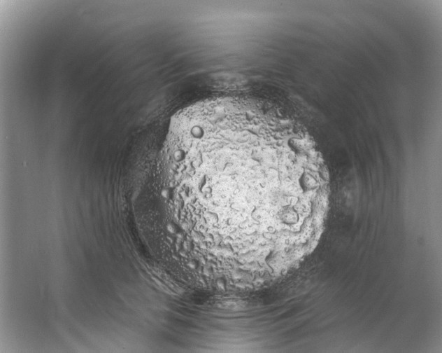 X0000062800658200601051113