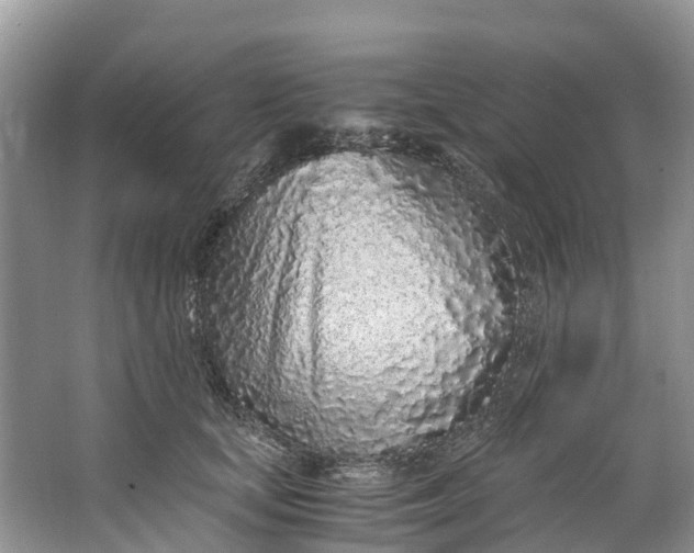 X0000062800659200601051113