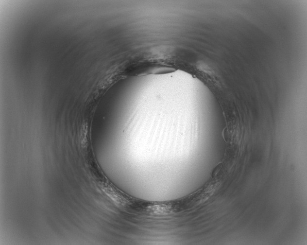 X0000062800660200601051113