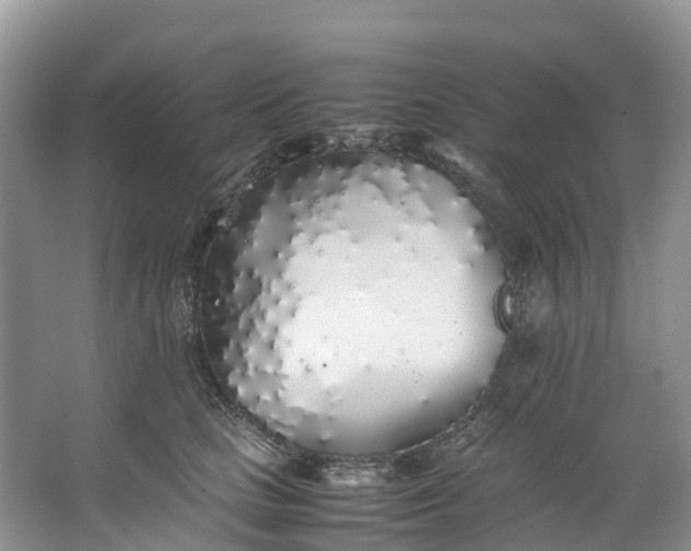 X0000062800661200601051113