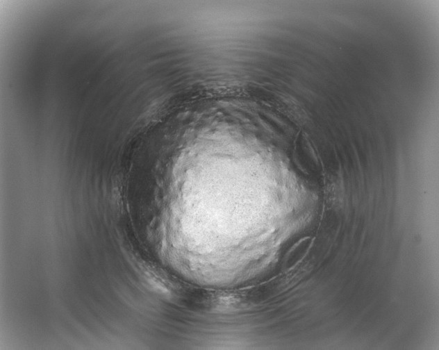 X0000062800662200601051113